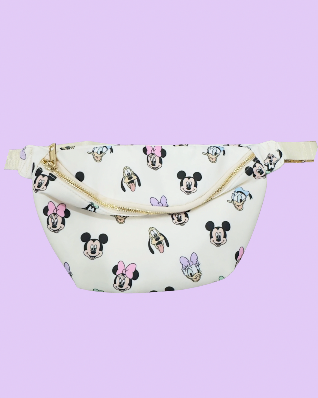 Disney-Inspired Fanny Packs